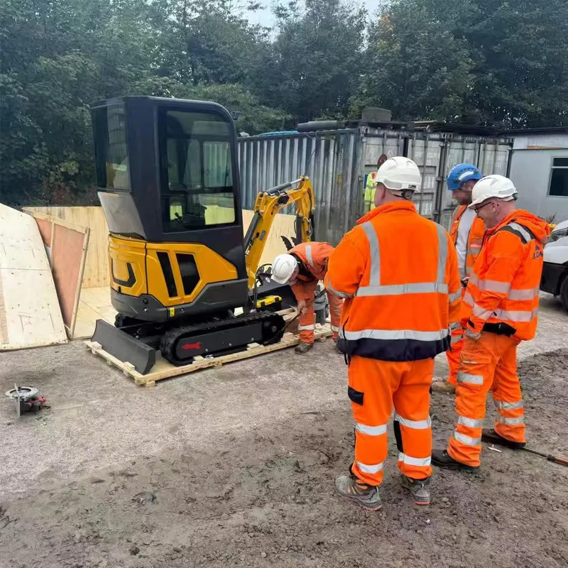 The French customer has received the SD Pioneer excavator